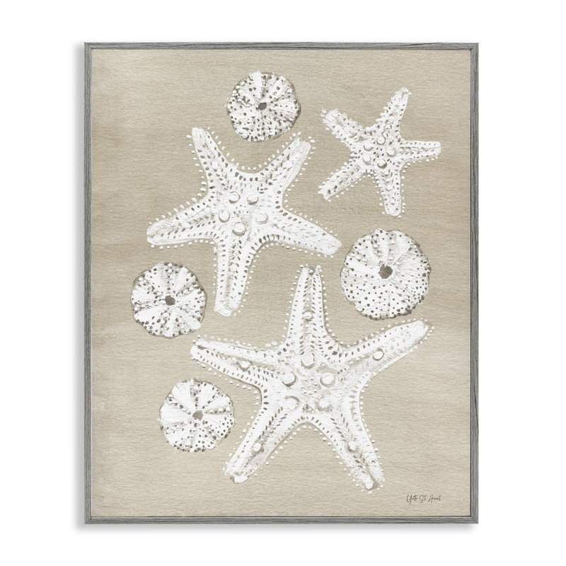 Sandy Beach Treasures, estampe numérique par Candra Boggs, Estampe numérique Farmhouse, H 20 po x l 16 po