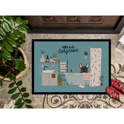 Schnauzer miniature noir dans la baignoire Gores 24X36 CK7473JMAT_Dog