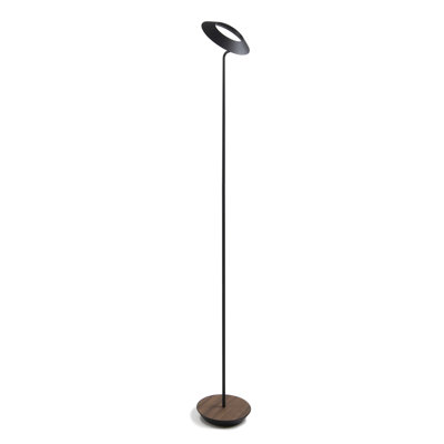 Royyo 45.5'' LED Floor Lamp