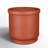 Privet Pot Planter-2015162403