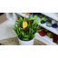 Plateau de service-776818355