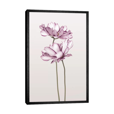 Cosmos II - Print on Canvas
