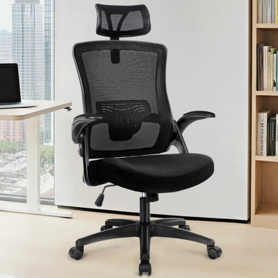 Naporsha Ergonomic Mesh Office Chair with Headrest