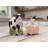 Country Animals Salt And Pepper