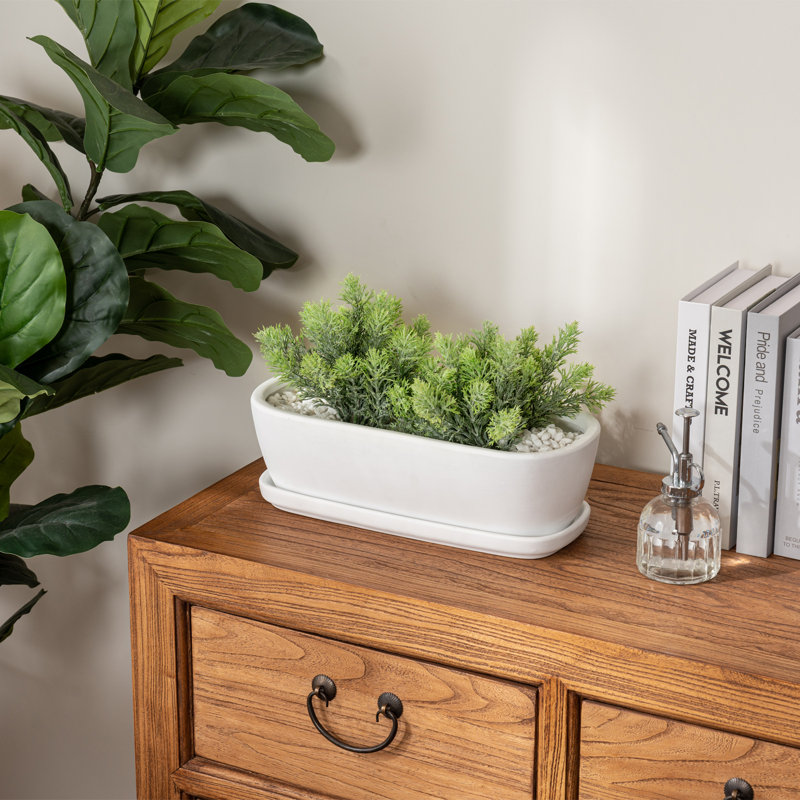 Indoor White Ceramic Succulent Pot Planter