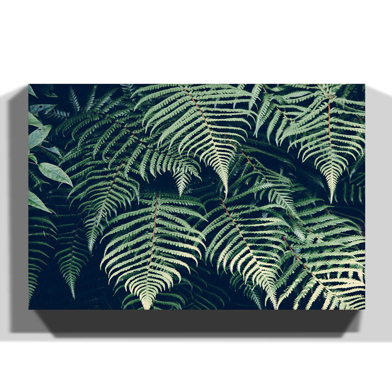 Wrapped Canvas Print, 50cm H x 76cm W