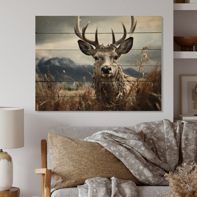 " Deer Monochrome Photography III "