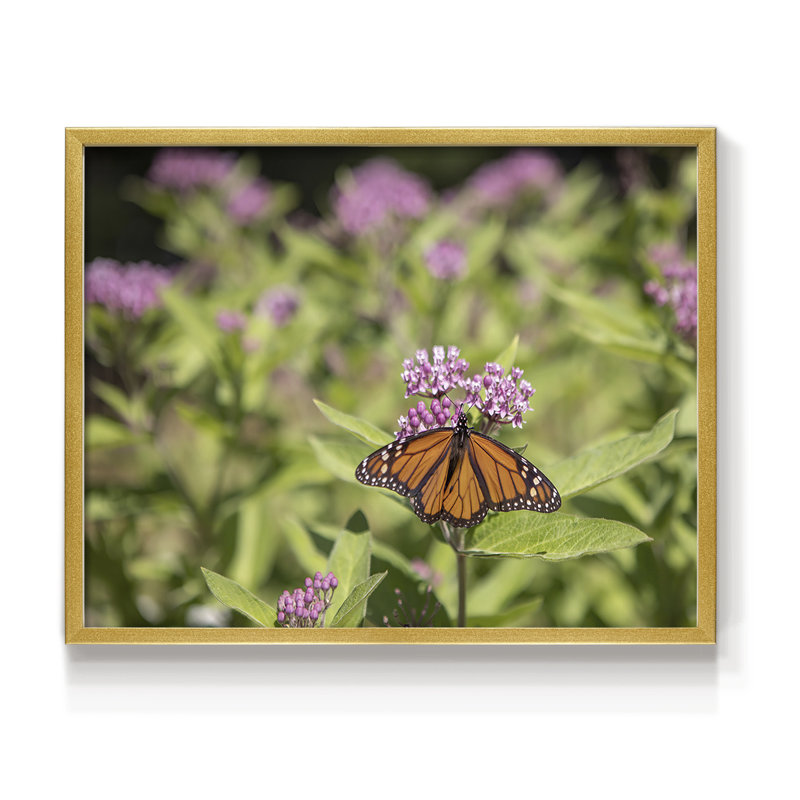 A Place to Rest -Framed Print - Restickable