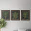 «Dramatic Pine I», ensemble de 3 peintures sur toile encadrées-1786843043-1786843044