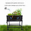Lit de jardin surélevé 3 pi x 2 pi Myrabelle