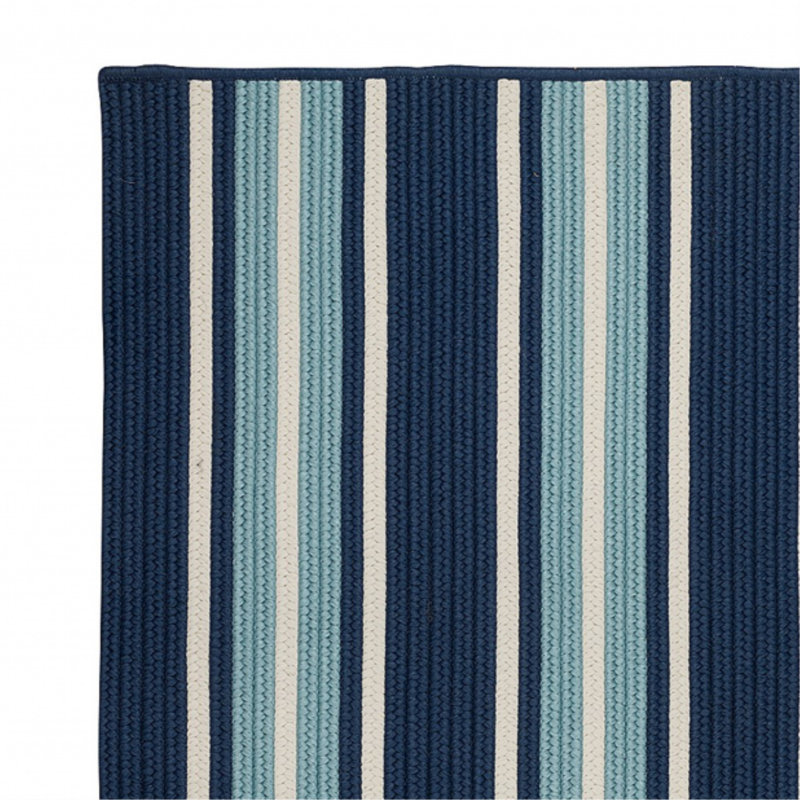 Tapis intérieur / extérieur bleu Madalynn, Rectangle 2 pi x 4 pi