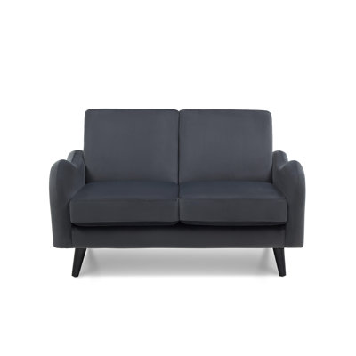 Destany 2 Seater Velvet Loveseat