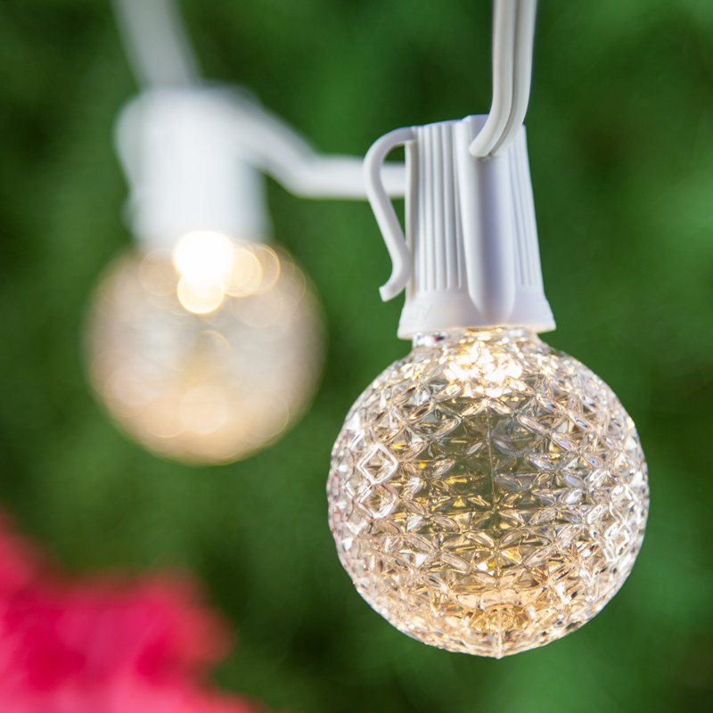 Globe Light Bulbs
