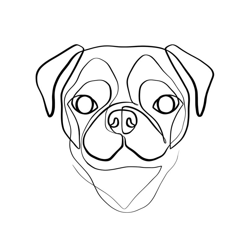 Pug by Dane Khy - Wrapped Canvas Gallery-Wrapped Canvas Giclée, 45.72 cm H x 45.72 cm W