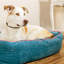 Heller Animal Print Polyester Pet Bed