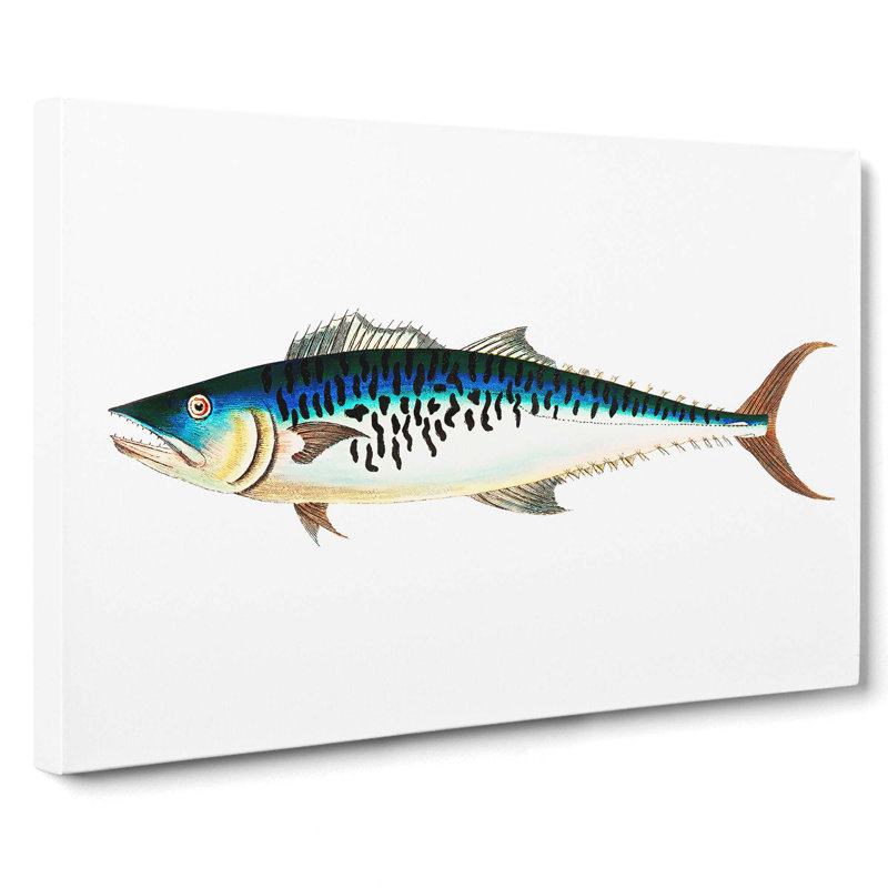 Mottled Mackerel Fish by George Shaw - Wrapped Canvas Painting, 35cm H x 50cm W x 3cm D