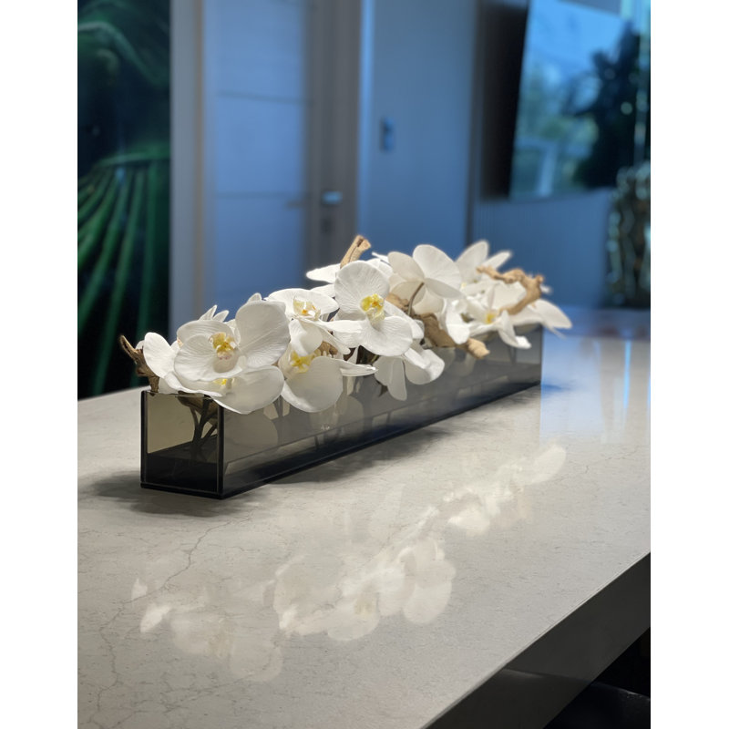 Orchid Arrangement in Planter, 48″L x 4″W x 4″H
