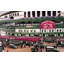 Wrigley Field ISI-DV006-843449209