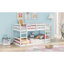 Lit superposé simple au-dessus de simple avec échelle (blanc)-1178186214