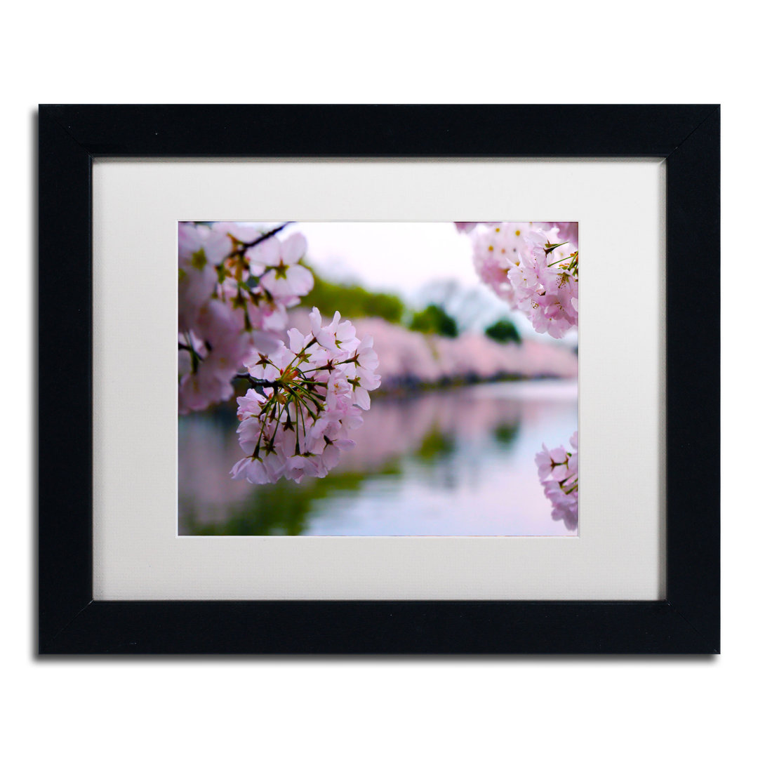 'Cherry Blossoms 2014-2' by CATeyes Framed Photographic Print Trademark Fine Art Mat