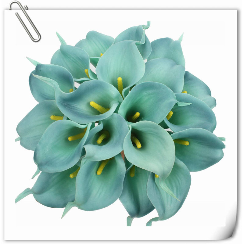 20 pièces de fleurs de lys Calla, Vert