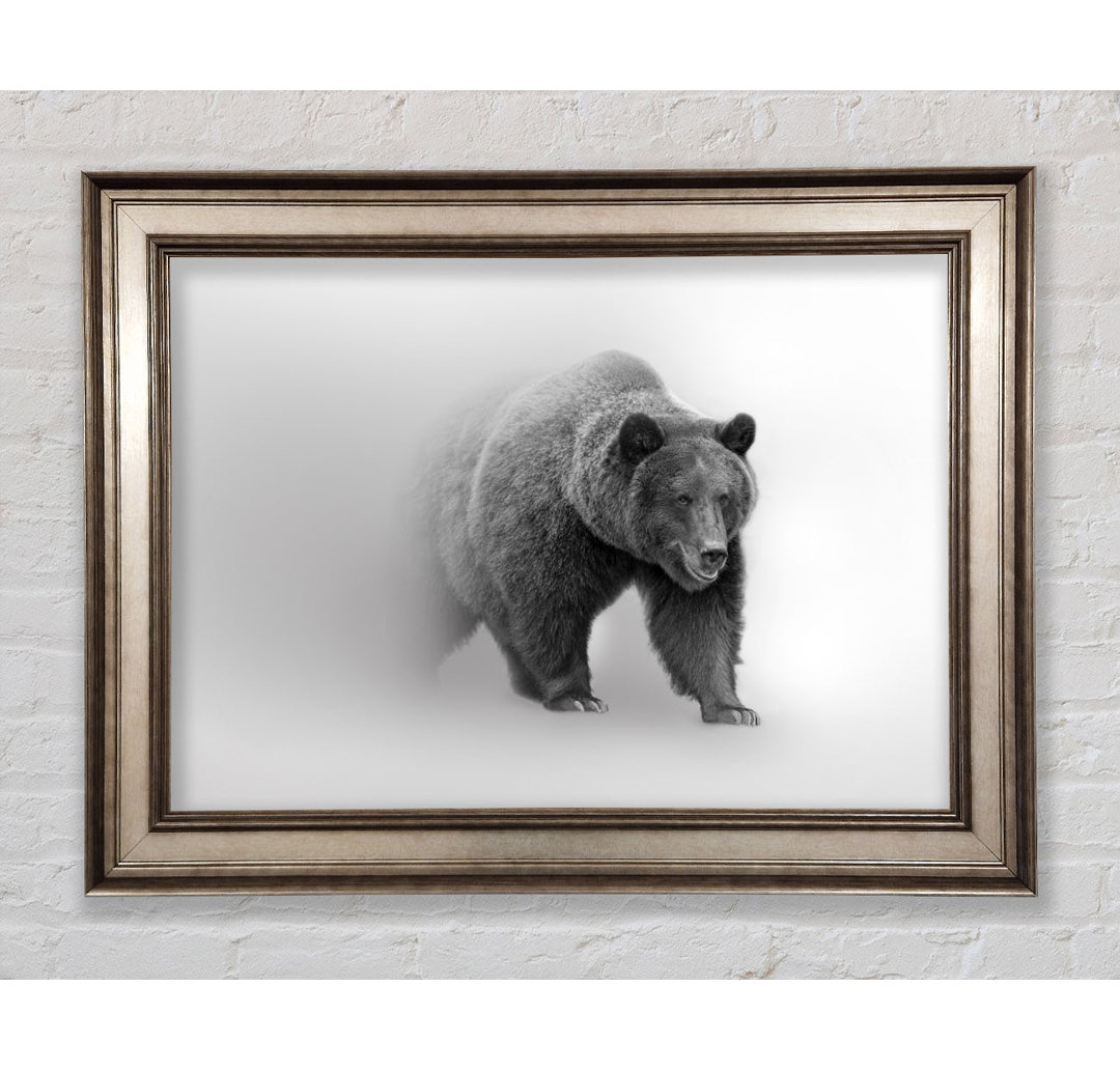 Bear In The Mist - Einzelner Bilderrahmen Kunstdrucke