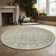 Benson Oriental Indoor Rug