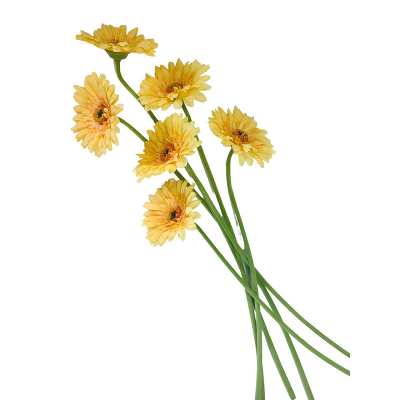 Arrangement, Yellow