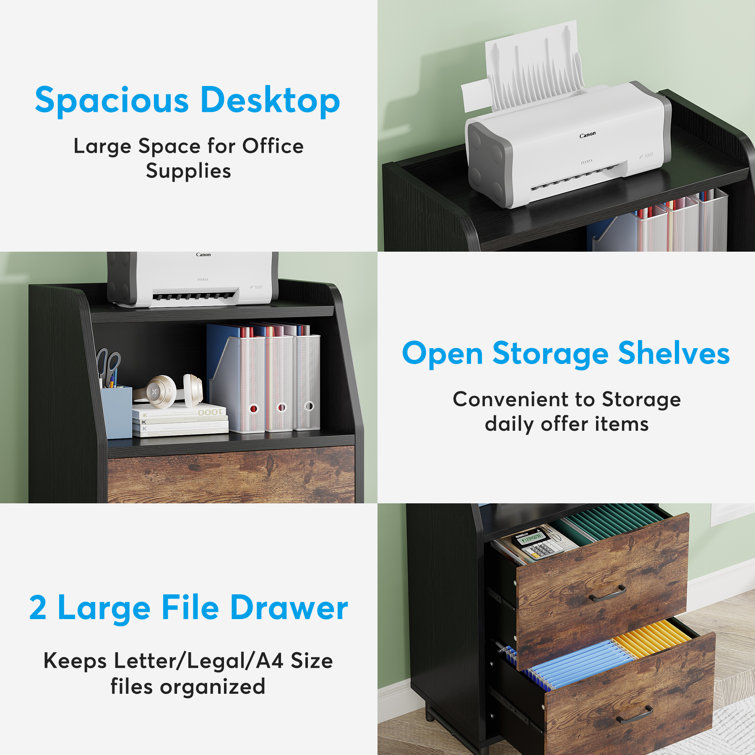 2 drawer file cabinet (letter sized files)