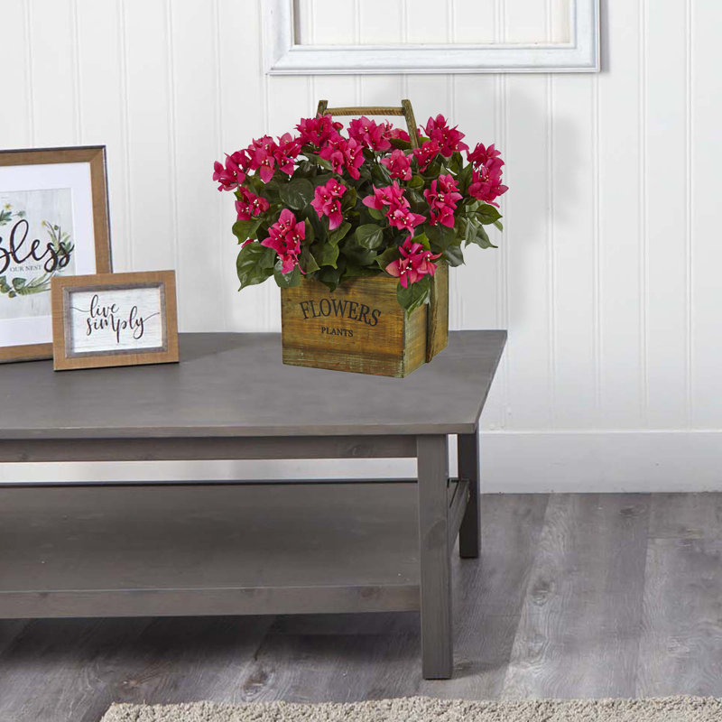Arrangement floral bougainvillea dans un pot de fleurs