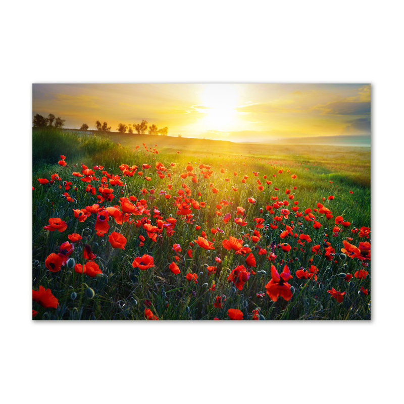 Field Of Poppies - Wrapped Canvas Print