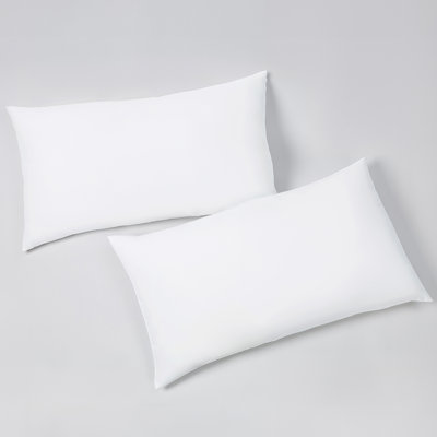 Ensemble de 2 oreillers moelleux