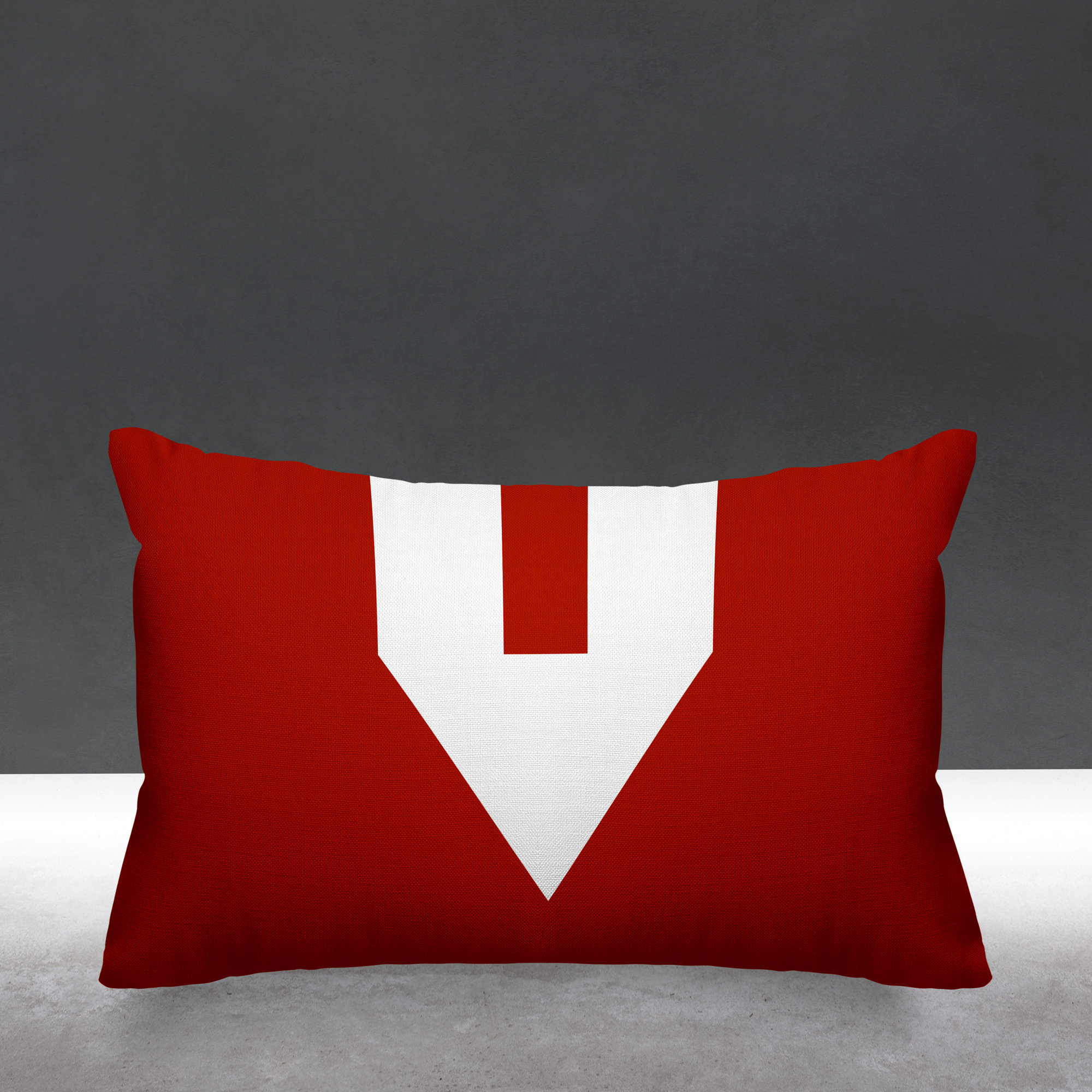 Luella Geometric Indoor/Outdoor Lumbar Throw Pillow, Red