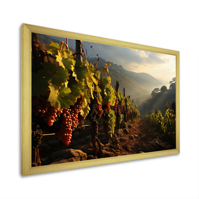 «Vineyard Misty Meadows Cellars I», reproduction sur toile, H 24 po x l 32 po x P 1 po, Cadre photo doré simple
