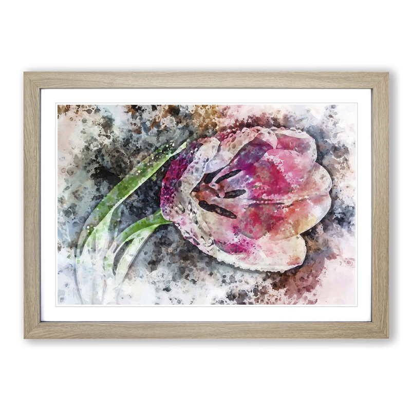 Pink Tulip - Framed Print, Oak, 40cm H x 60cm W x 2cm D