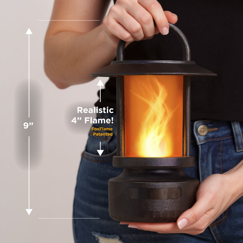 Fox Flame, Brown