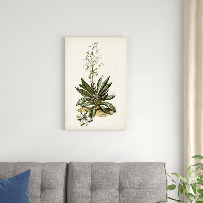 Étude botanique antique I, H 30 po x l 20 po x P 1,25 po