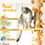 Du sol au plafond, arbre à chat, 80 à 95 po de haut, tour à 3 niveaux avec poteaux à griffes et perchoirs pour chats d'intérieur, tour réglable orange, plateformes pour les amateurs de félins à la maison,
