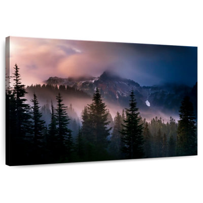 Alvord Mt. Rainier Storm Mist
