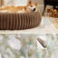 Lit pour chien Bedsut Donut-120992896-120992893