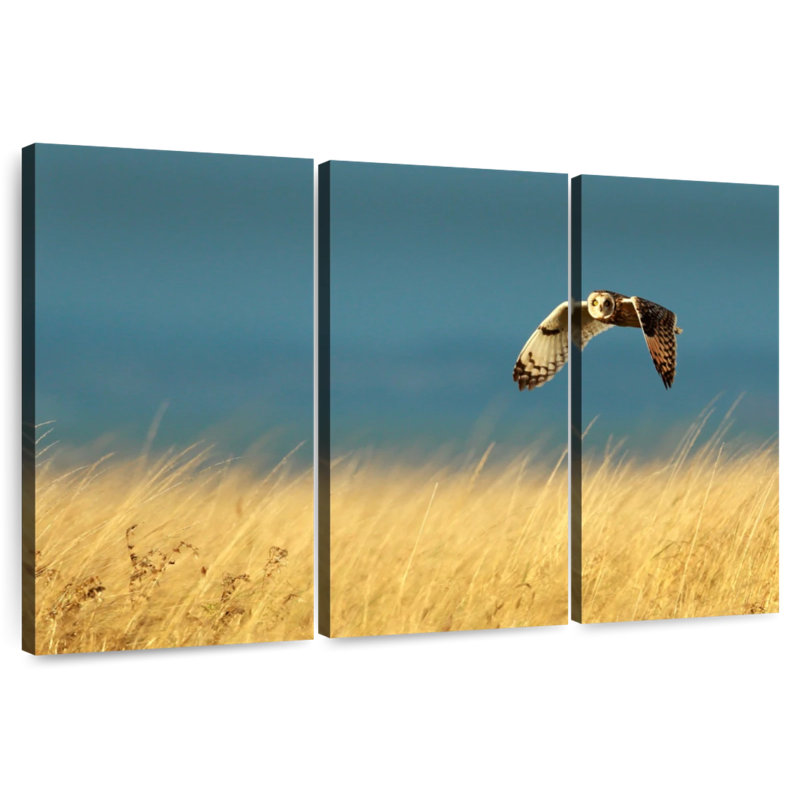 Brampt Owl In Flight, 24" H x 38" W