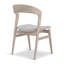 Modern Brazilian Upholstered Dining Chair-1673805903