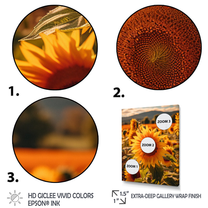 Tournesol doré au coucher du soleil I, H 20 po x l 12 po x P 1 po, Encadrement doré