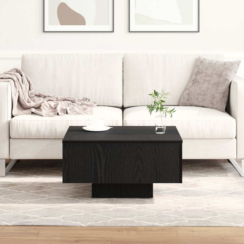 Coffee Table with Storage