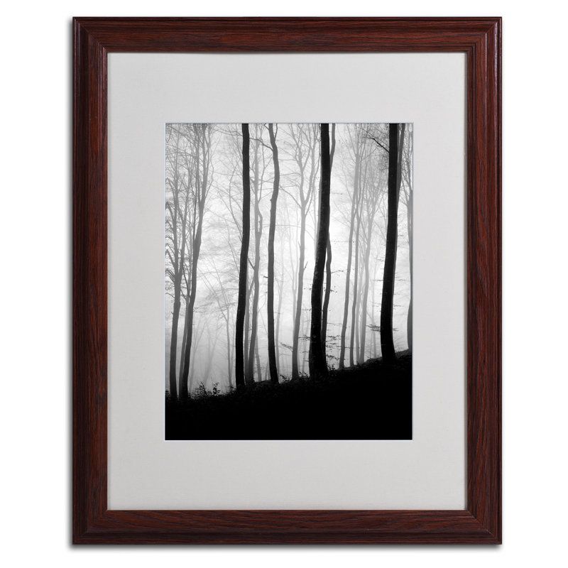 « black lines » par philippe sainte-laudy,, reproduction de photo encadrée, H 20 po x l 16 po, Brun