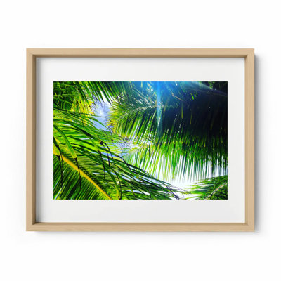 Light Breeze Print by Joseph Regan