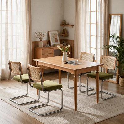 Mid Century Modern Dining Chairs Set Of 2 (No Including Dining Table)