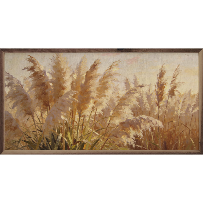 Tiges de pampa récoltées, 36x18