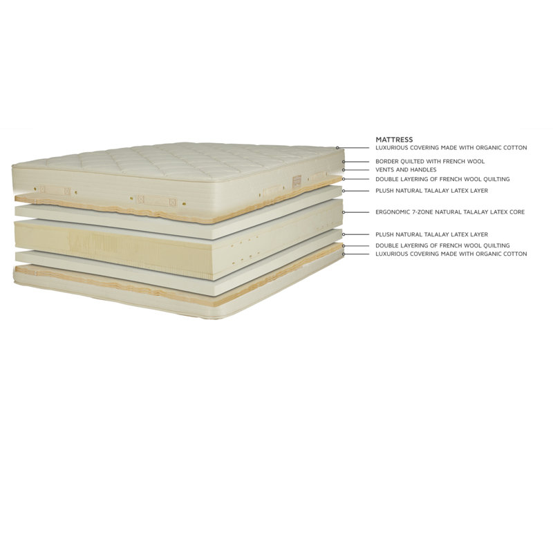 Premier Natural 11.5'' Plush Latex Mattress and Box Spring Set, Twin XL