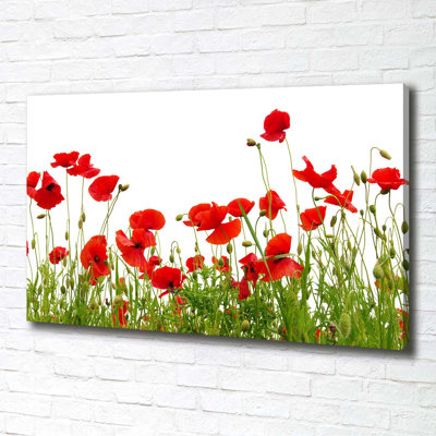 Maki - Wrapped Canvas Print